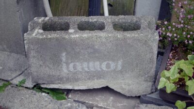 本屋kamos――下町に生まれた“小さな知の拠点”